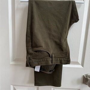 Banana Republic Traveler Olive Green Pants.
